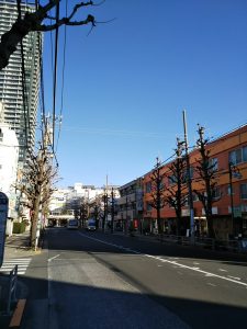 平成31年1月4日　朝のとちの木通りです