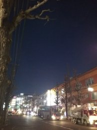 平成31年2月4日　夜のとちの木通りです