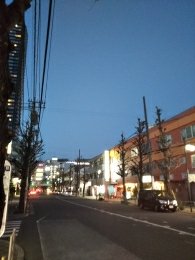 平成31年2月17日　夜のとちの木通りです