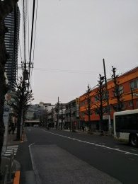 平成31年2月19日　朝のとちの木通りです