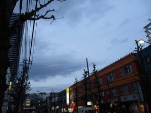 平成31年4月14日　夜のとちの木通りです