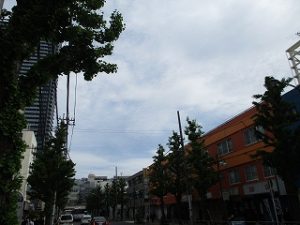 令和元年5月9日　朝のとちの木通りです