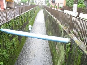 山田川も水が流れてます