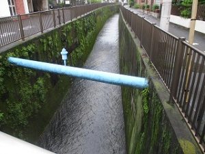 夏はいつも干からびる山田川が。。。