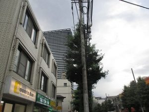 2020年7月7日　夕方のRoom's Bar前イマソラです