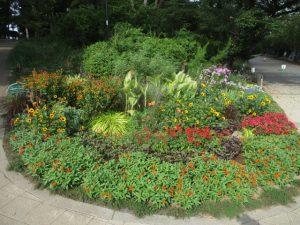 2020年8月28日　朝の富士森公園の花壇です