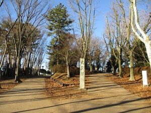 2021年1月10日　朝の富士森公園の風景です