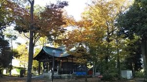 2021年11月5日朝の富士森公園の浅間神社です