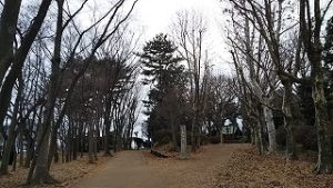 2022年1月10日朝の富士森公園の遊歩道です