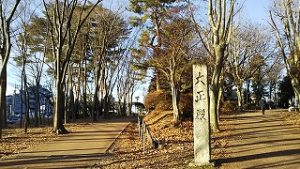 2022年1月13日朝の富士森公園の遊歩道です