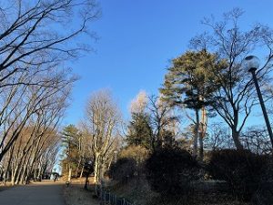 2022年1月22日朝の富士森公園の遊歩道です