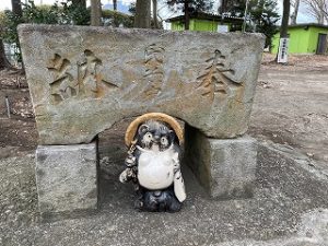 せ、浅間神社にたぬきが！？