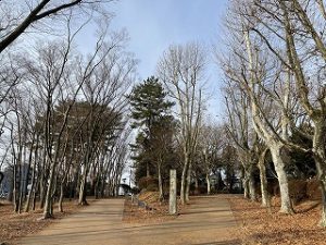 2022年1月30日朝の富士森公園の遊歩道です