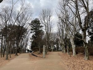 2022年2月4日朝の富士森公園の遊歩道です
