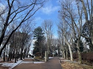 2022年2月11日朝の富士森公園の遊歩道です