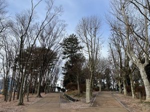 2022年2月12日朝の富士森公園の遊歩道です