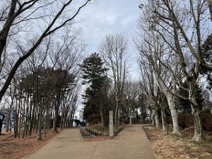 2022年2月13日朝の富士森公園の遊歩道です