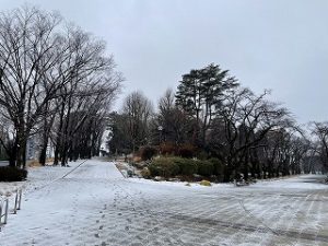 2022年2月14日朝の富士森公園の遊歩道です