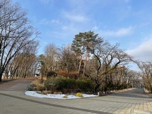 2022年2月15日朝の富士森公園の遊歩道です