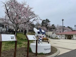 2022年3月29日富士森公園の桜とミライトワ