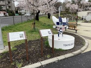 2022年4月1日富士森公園の桜とミライトワ