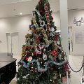 病院のクリスマスツリーが綺麗でした(^^)